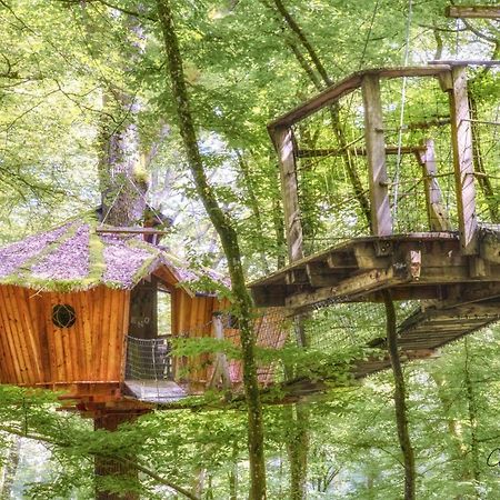 L'Arbre A Cabane Guyonvelle ภายนอก รูปภาพ