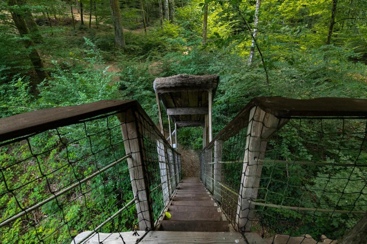 L'Arbre A Cabane Guyonvelle ภายนอก รูปภาพ