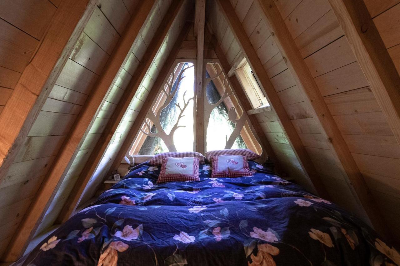 L'Arbre A Cabane Guyonvelle ภายนอก รูปภาพ