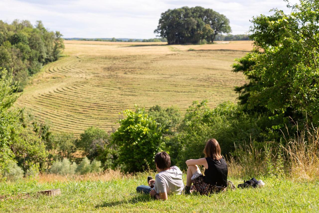 L'Arbre A Cabane Guyonvelle ภายนอก รูปภาพ