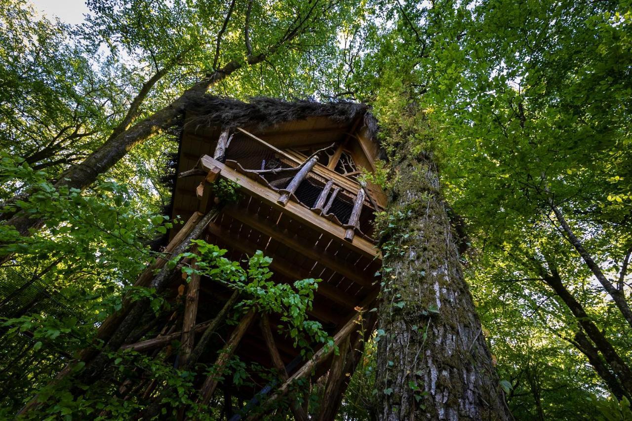L'Arbre A Cabane Guyonvelle ภายนอก รูปภาพ