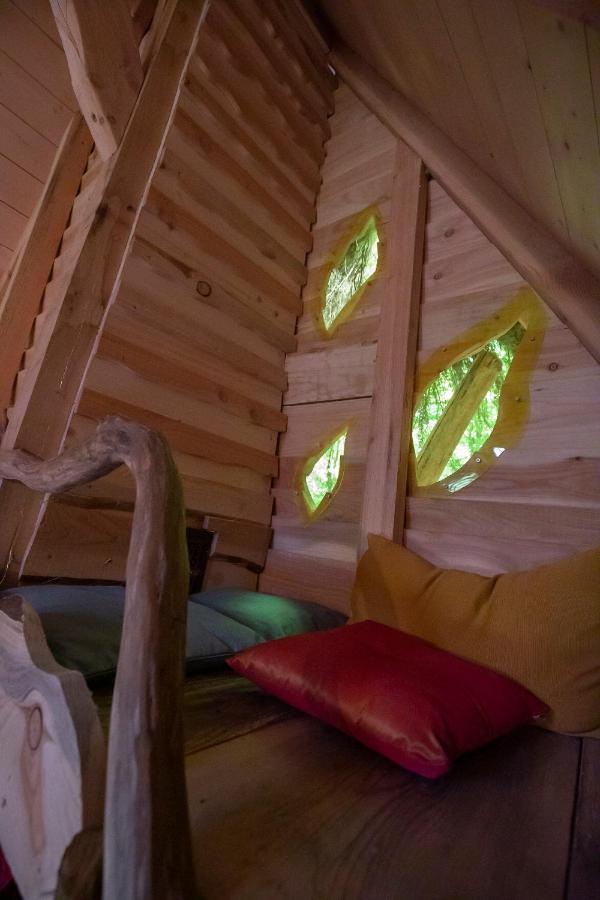L'Arbre A Cabane Guyonvelle ภายนอก รูปภาพ