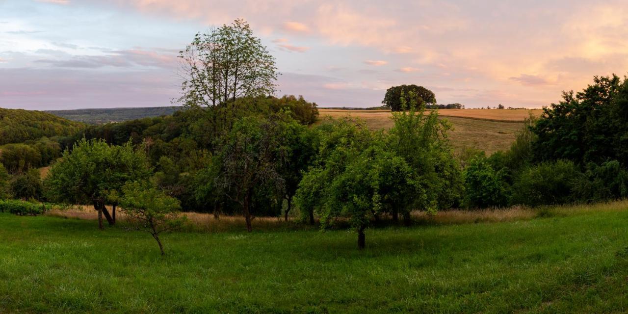 L'Arbre A Cabane Guyonvelle ภายนอก รูปภาพ