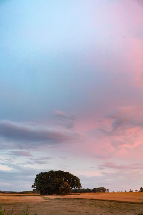 L'Arbre A Cabane Guyonvelle ภายนอก รูปภาพ