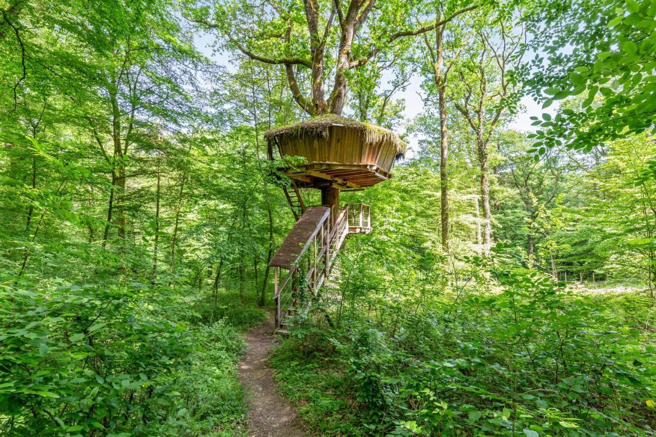 L'Arbre A Cabane Guyonvelle ภายนอก รูปภาพ