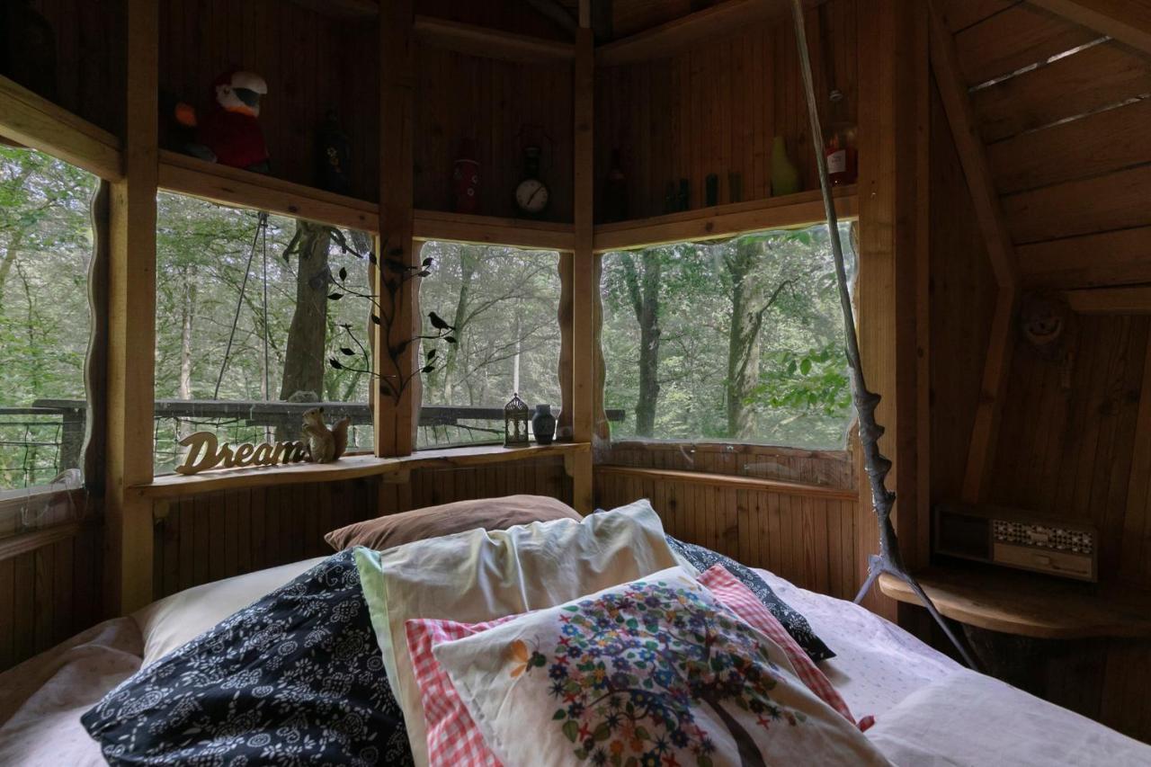 L'Arbre A Cabane Guyonvelle ภายนอก รูปภาพ