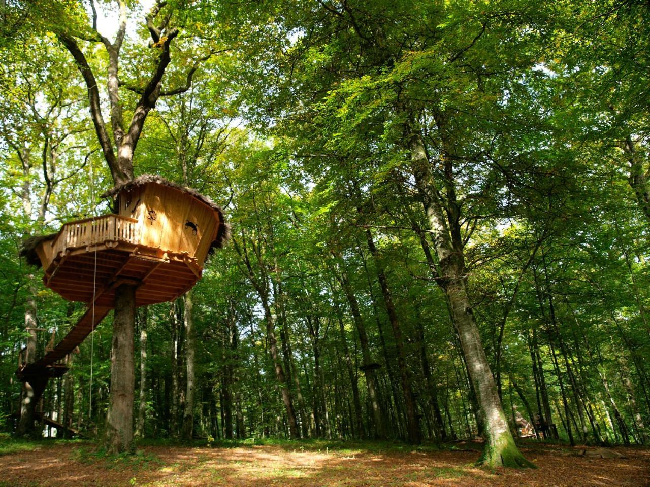 L'Arbre A Cabane Guyonvelle ภายนอก รูปภาพ