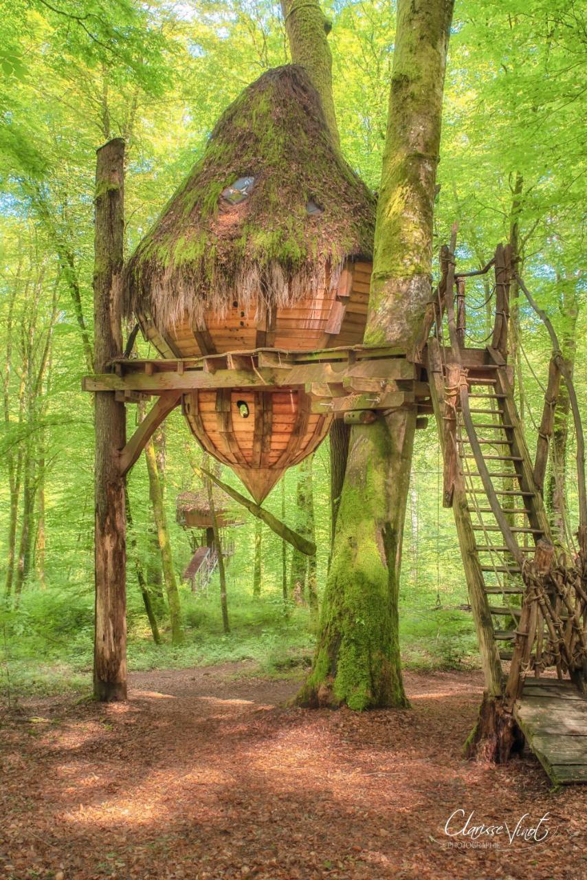 L'Arbre A Cabane Guyonvelle ภายนอก รูปภาพ