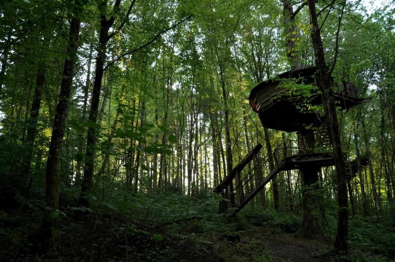 L'Arbre A Cabane Guyonvelle ภายนอก รูปภาพ