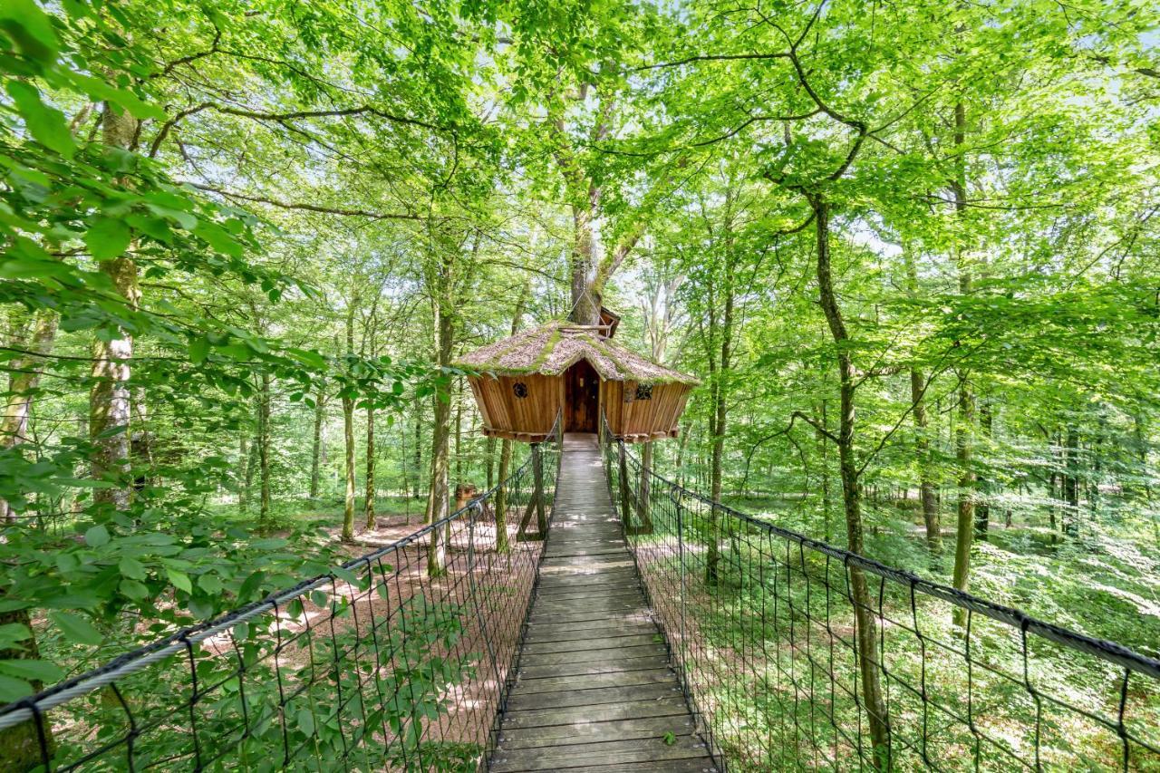 L'Arbre A Cabane Guyonvelle ภายนอก รูปภาพ