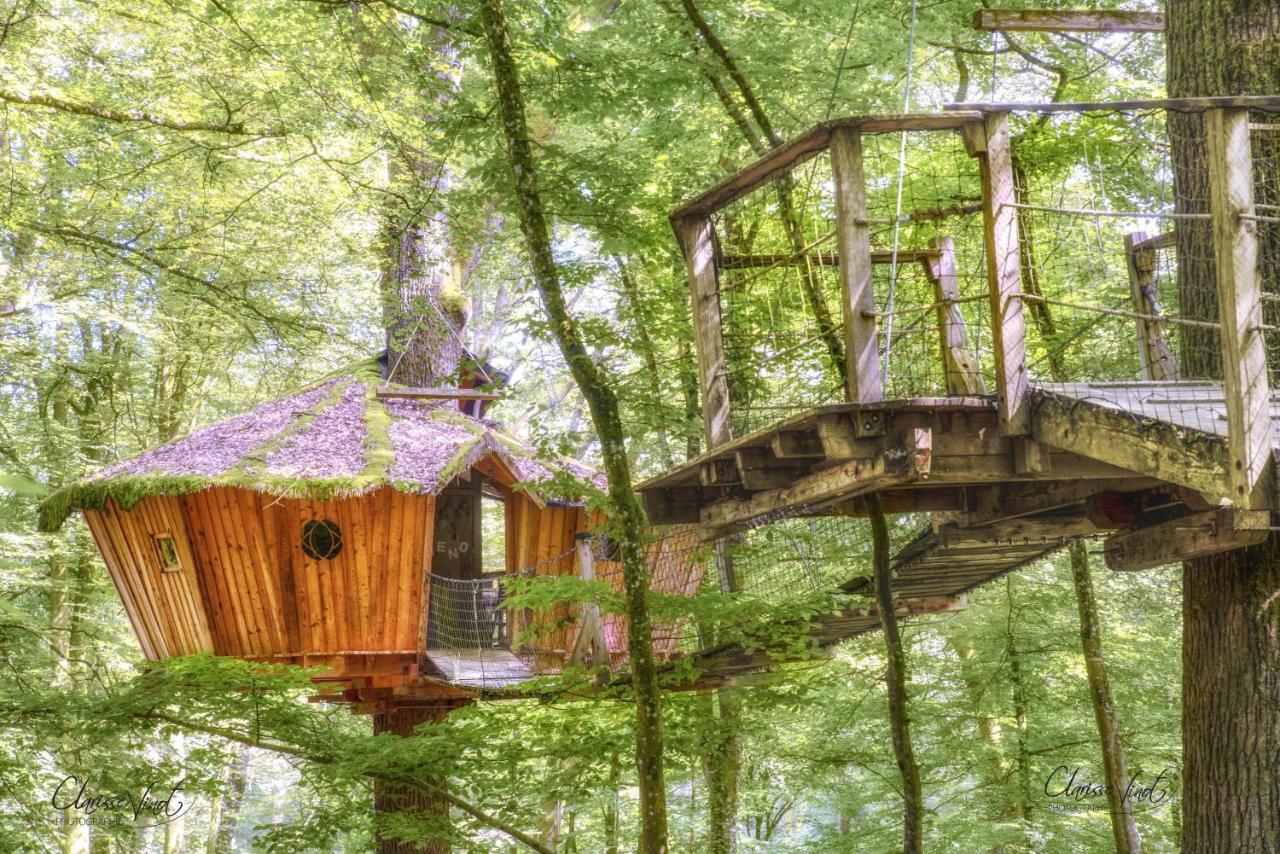 L'Arbre A Cabane Guyonvelle ภายนอก รูปภาพ
