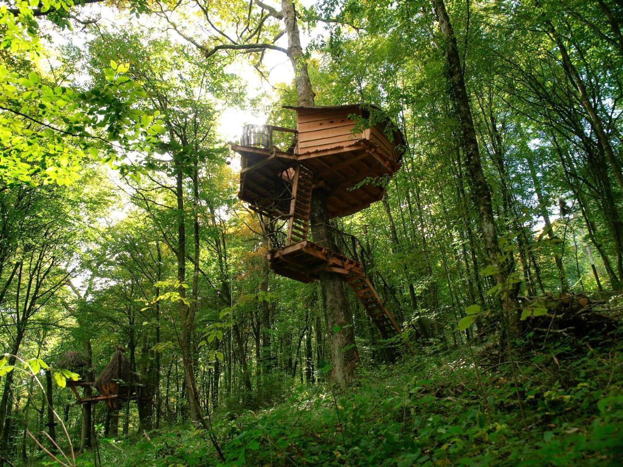 L'Arbre A Cabane Guyonvelle ภายนอก รูปภาพ