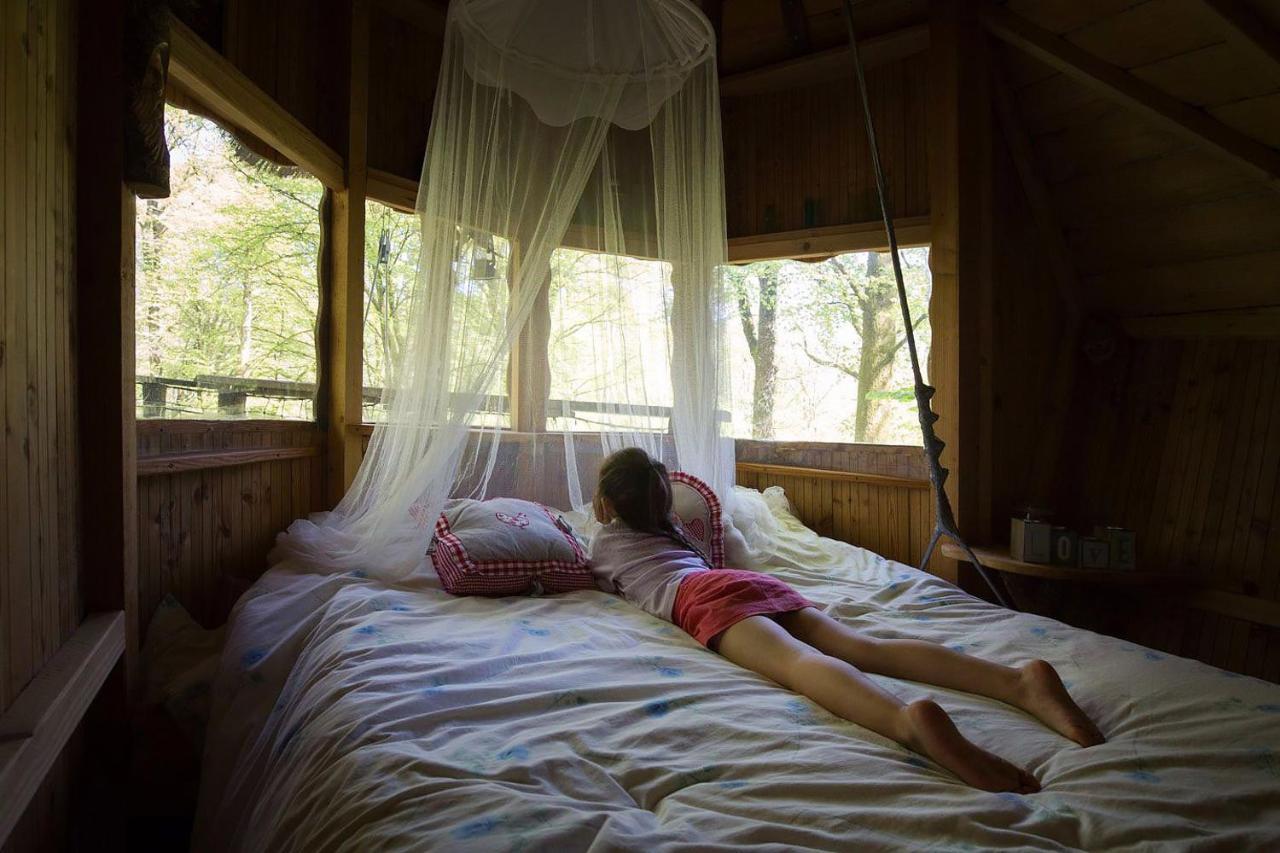 L'Arbre A Cabane Guyonvelle ภายนอก รูปภาพ