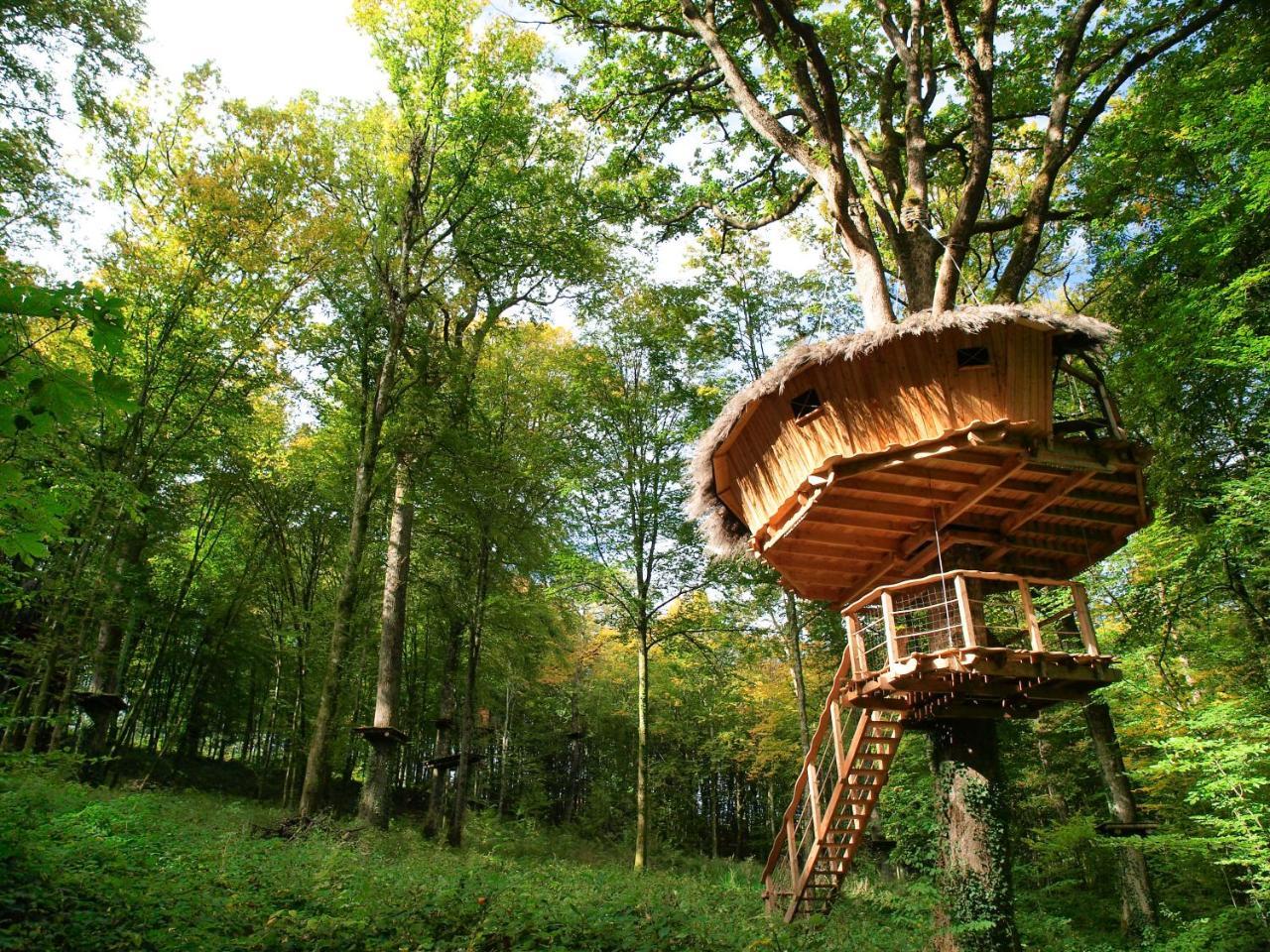 L'Arbre A Cabane Guyonvelle ภายนอก รูปภาพ