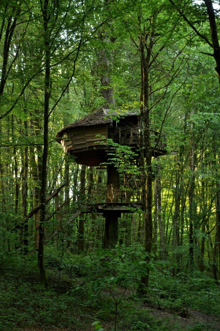 L'Arbre A Cabane Guyonvelle ภายนอก รูปภาพ