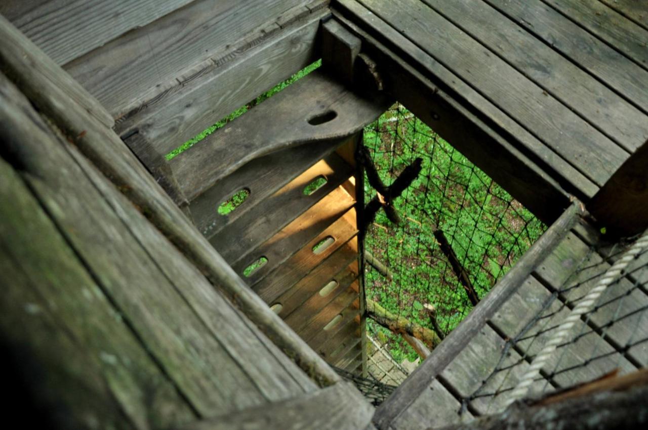 L'Arbre A Cabane Guyonvelle ภายนอก รูปภาพ
