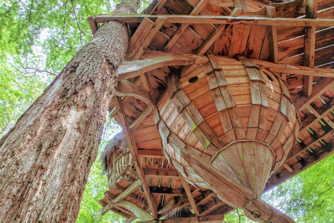 L'Arbre A Cabane Guyonvelle ภายนอก รูปภาพ