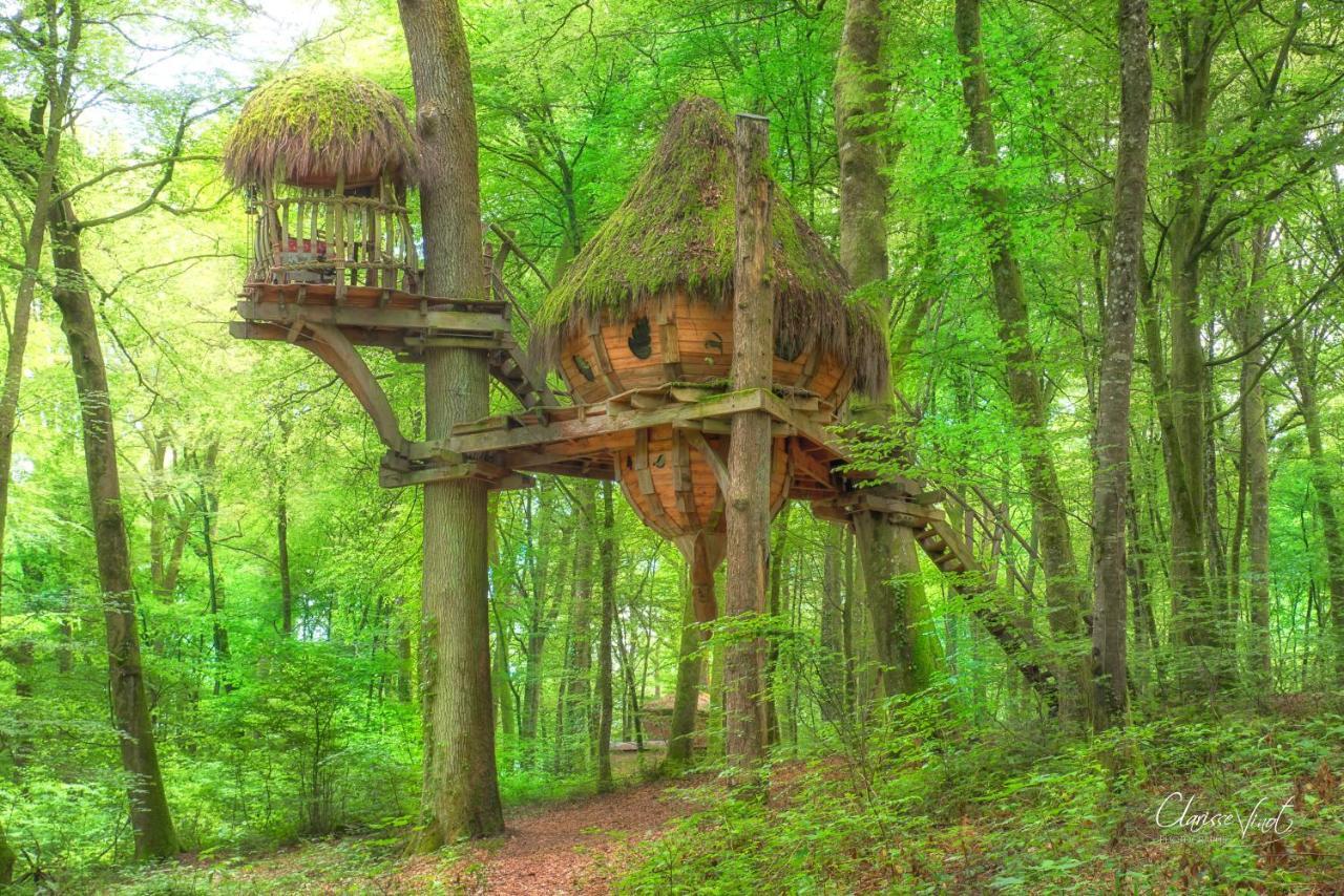 L'Arbre A Cabane Guyonvelle ภายนอก รูปภาพ